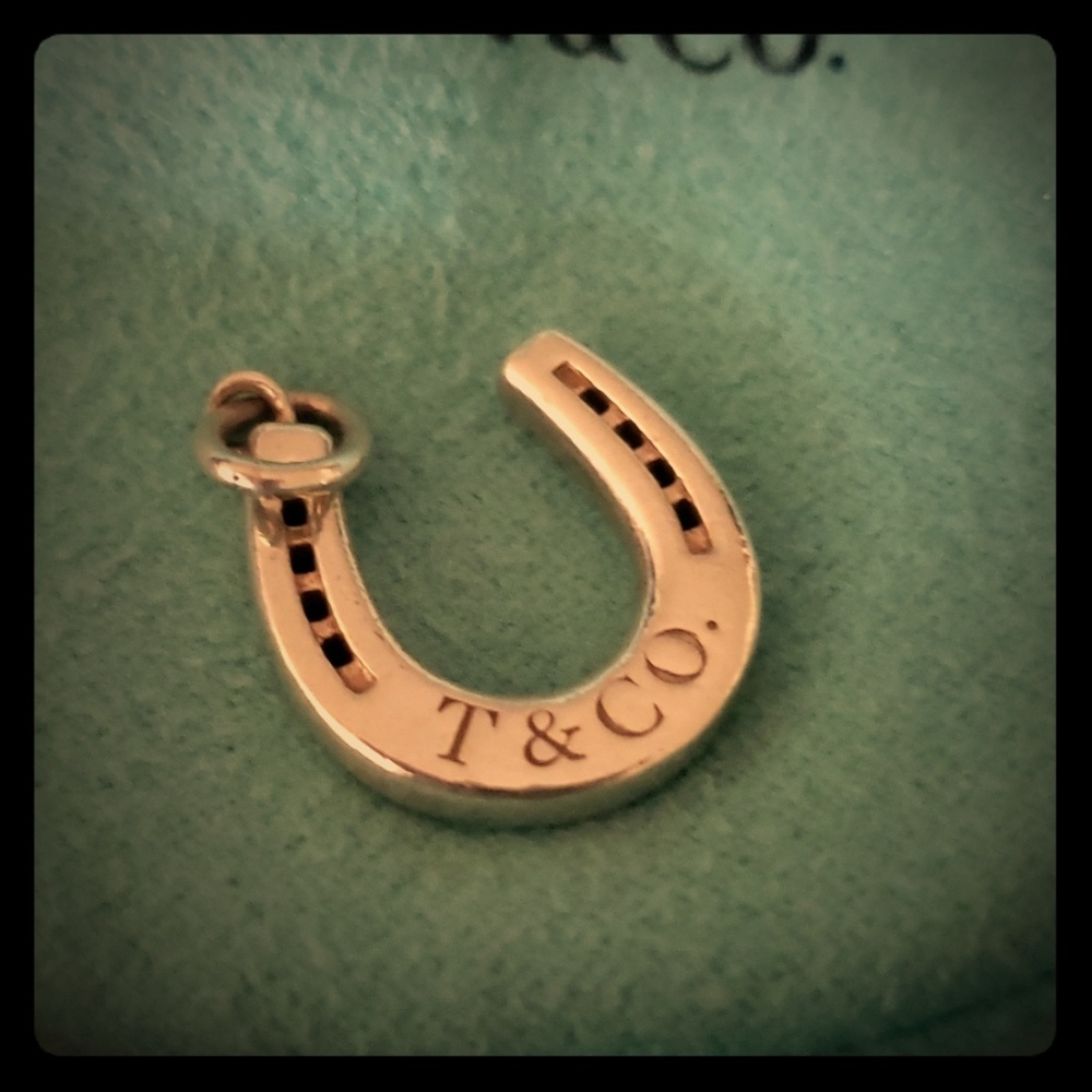Tiffany and co horseshoe charm